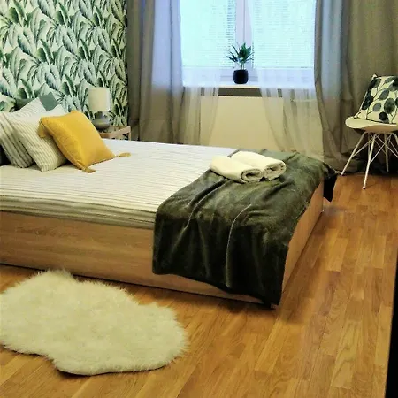 Stars Center By Renters *