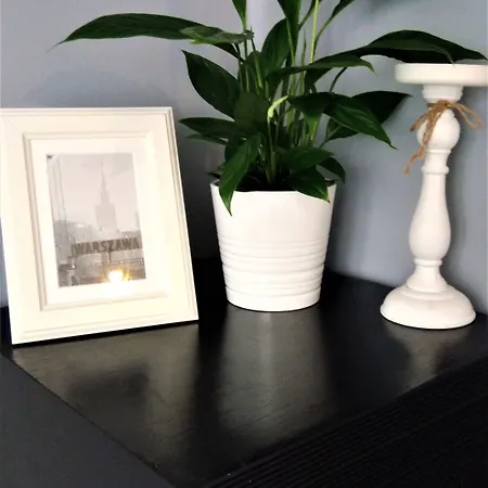 Apartman Stars Center By Renters *